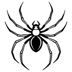 Spider line art vector illustration  