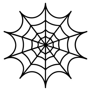 Spider web line art vector illustration     
