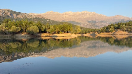 summer reflections in the pond and the texture of the mountains