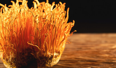 Cordyceps militaris mushrooms, Mushrooms on an old wooden chopping board