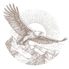Majestic Eagle in Flight Over Mountain Landscape with Sun Rays in Background, Line Art Illustration for Nature Lovers