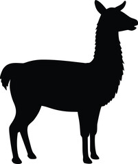 stylish llama profile graphic for nature lovers