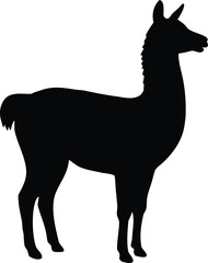 llama profile vector illustration for animal design