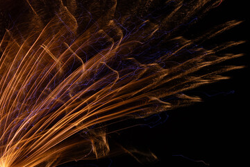 Bird's tail feathers in the night sky