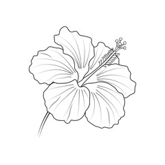 Black and White Hibiscus Flower Vector Line Drawing