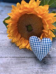 Einzelne Sonnenblume mit Herz in blau weiß kariert liegt auf Holz