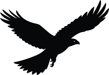 best hawk flying eagle graphic vector collection