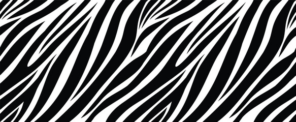 zebra skin pattern animal print black white stripes background © Plam