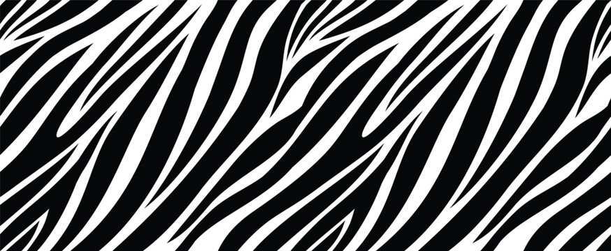 zebra skin pattern animal print black white stripes background