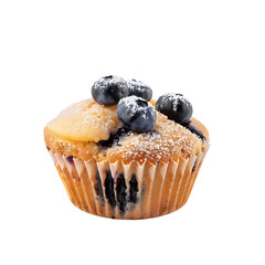 Blueberry Muffin with Powdered Sugar Topping