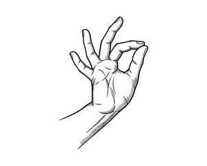 Hand Gesture Pinching Holding Something Isolated on White Background Line Art Style Vector Illustration