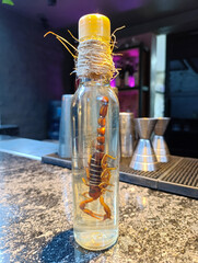 Mezcal with scorpion is a Mexican drink rich in history and tradition, a strong and spicy drink with medicinal properties.