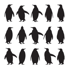 Obraz premium A collection of 16 black silhouettes of penguins Vector Design. 