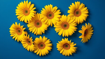 Vibrant yellow gerbera flowers in circular arrangement against blue.
