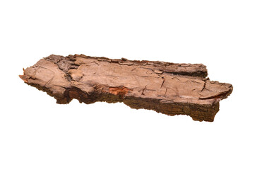tree bark isolated on white background