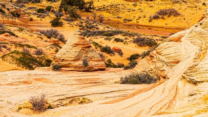 White Pocket im Grand Staircase Escalante