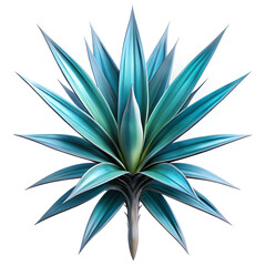 Vector illustration of a plant flower and abstract floral design with leaves and tropical decoration isolated on white background