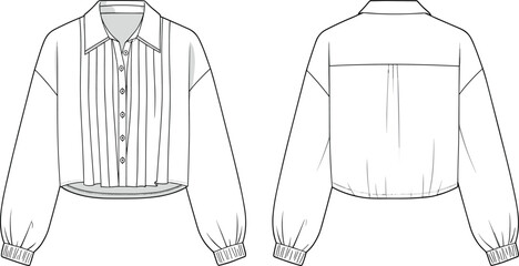 Cropped shirt, pleated front, long sleeve, button-up style, collar design, fashion sketch, CAD drawing, flat vector illustration, apparel template, trendy womenswear