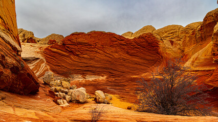 White Pocket im Grand Staircase Escalante