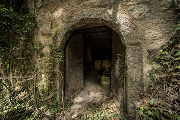 Mystic entrance to an abandoned stone building overgrown with ivy, featuring rustic wooden doors and old machinery inside in a forgotten quarry setting