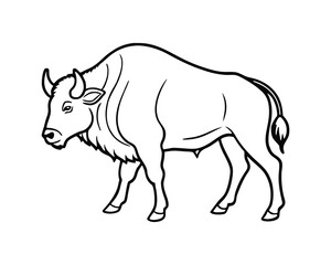 Fototapeta premium Line drawing of a bison standing isolated on white background