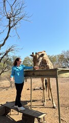 Giraffe receiving a Snack from a Woman