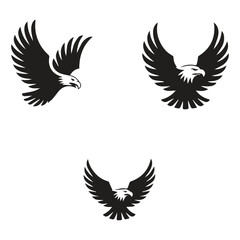 Obraz premium eagle vector illustration