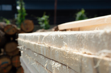 Wood planks are stacked in a sawmill yard, showcasing the fresh cut surfaces under bright sunlight, surrounded by logs