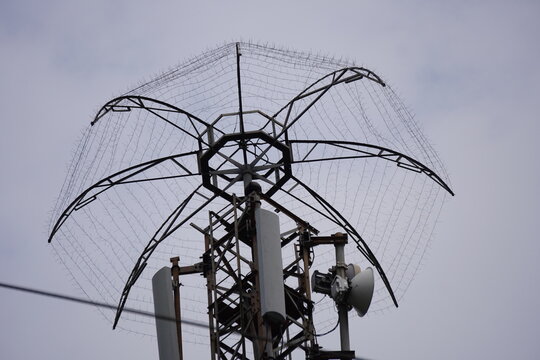 A lightning protection system, specifically a lightning rod or air terminal, mounted on top of a telecommunication tower