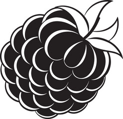 Blackberry illustration for a coloring book or design element Vector illustration. Hand drawn doodle of blackberry or raspberry fruit with stem. Healthy diet and vegetarian food. Cartoon sketch. Deco
