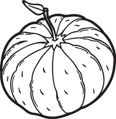 Abstract simply background with natural line arts - summer theme