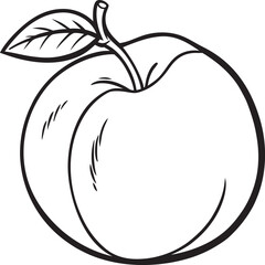 Outline drawing of a peach with a leaf attached to the stem shown in a simple graphic style art
