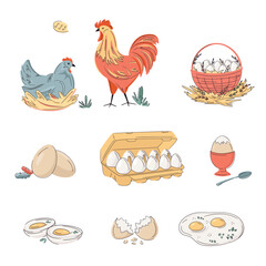 Set of colourful laying hen and roaster; eggs, basket, cardboard; eggshell; fried, boiled and scrambled eggs . Bright, organic design for protein breakfast,  local farm, urban homesteading, fresh food