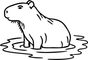 capybara vector illustration, isolated on white
