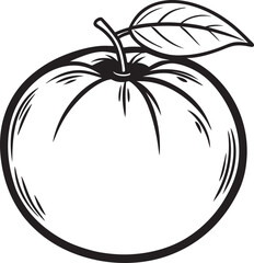 Orange Tangerine Fruit Food Meal Healthy Coloring Kid Book Page in Black and White. Monochrome and Colored Samples
