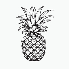 Obraz premium pineapple on a white background