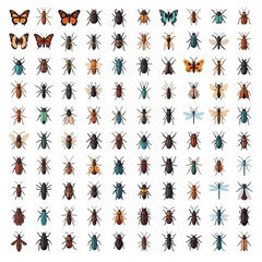 Grid of 144 insect icons arranged in 12 rows and 12 columns featuring various species like butterflies, beetles, ants, dragonflies, and more