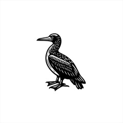 Obraz premium Black and White Cormorant Bird Illustration.