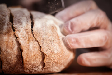 Handmade Bread Being Sliced with a Knife