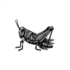 Detailed Black and White Grasshopper Illustration.