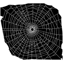 Obraz premium White spider web Vector illustration centered on a solid black background. Ideal for Halloween themes, spooky decorations, horror graphics, or nature-related designs with a dark tone.
