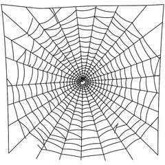 Obraz premium Spider Web Vector Silhouettes on White Background