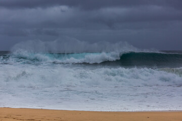 Wave