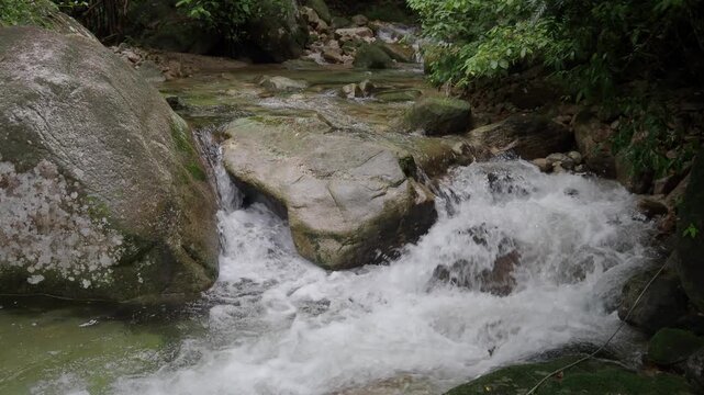 Waterfall 357 and nature in the lush forest