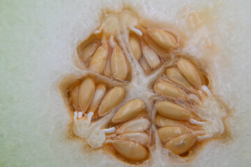 Melon seeds, a tropical fruit with a sweet taste
