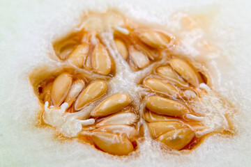 Melon seeds, a tropical fruit with a sweet taste

