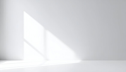 Obraz premium Neutral backdrop in light grey with delicate shadows.
