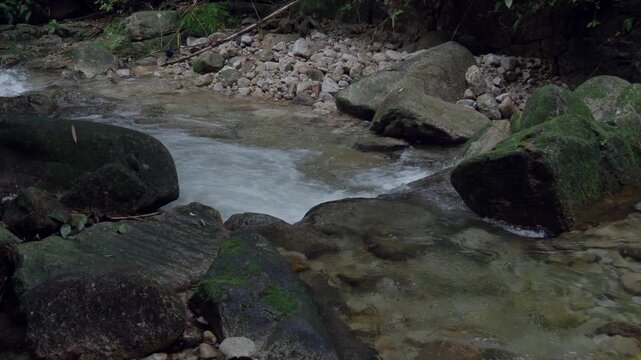 Waterfall 357 and nature in the lush forest