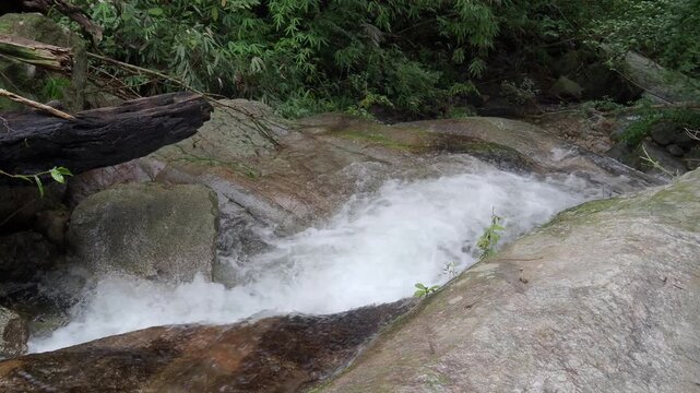 Waterfall 357 and nature in the lush forest
