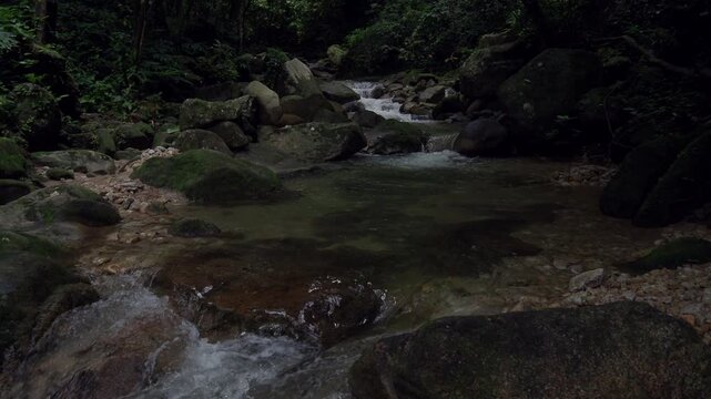 Waterfall 357 and nature in the lush forest